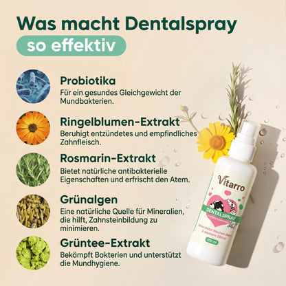 Vitarro® Spray dental para perros