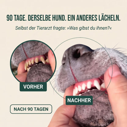 Vitarro® Spray dental para perros