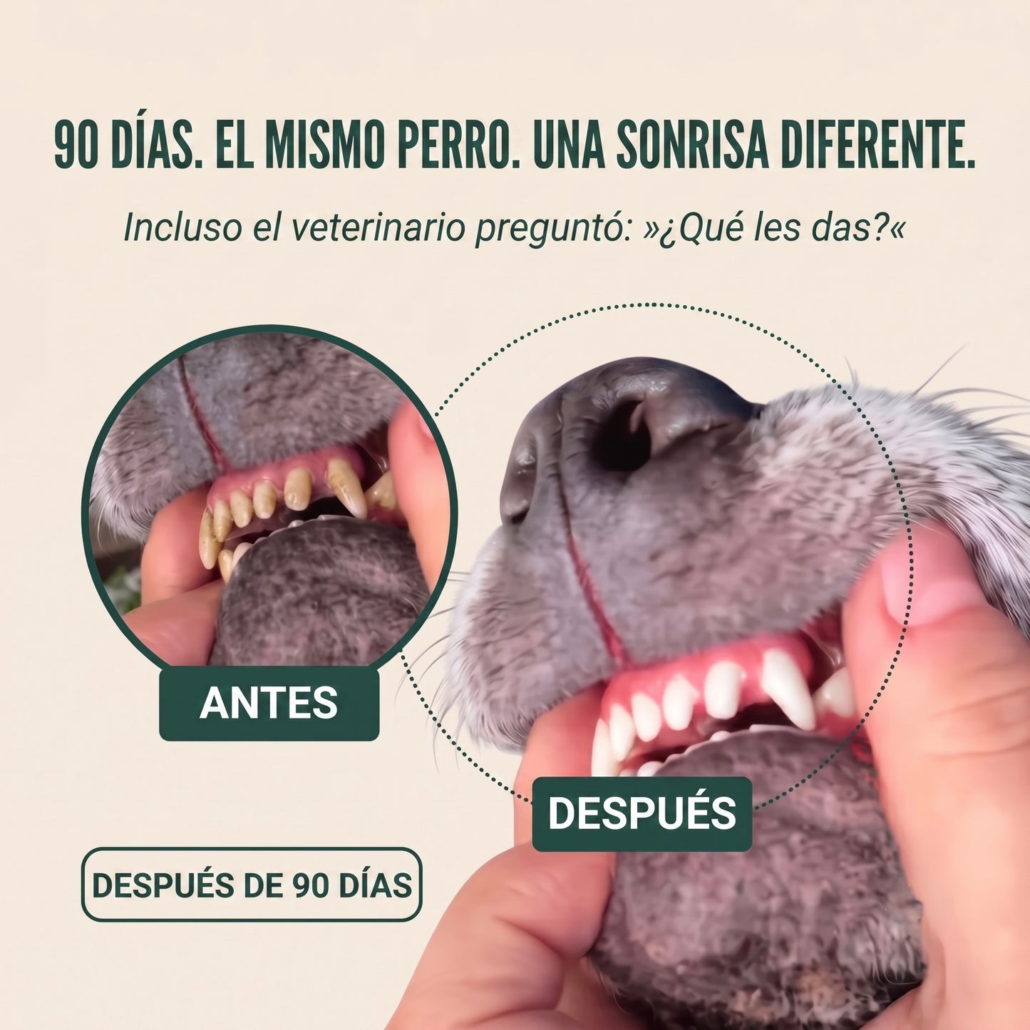 Vitarro® Spray dental para perros