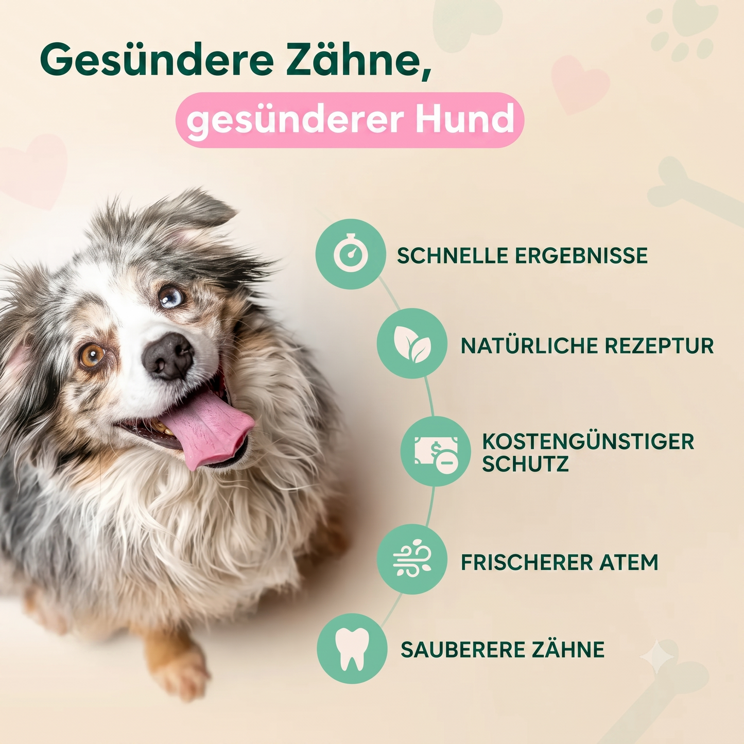 Vitarro® Spray dental para perros